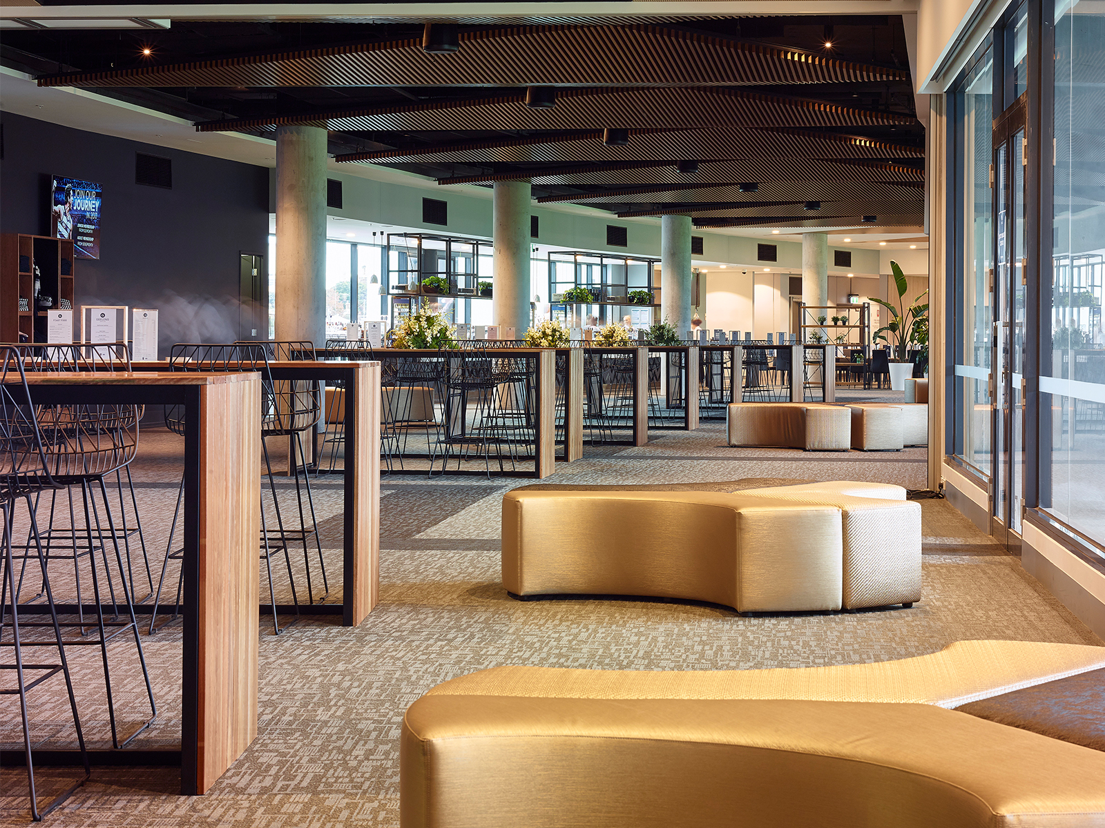 Geelong Social Club — Higher Mark