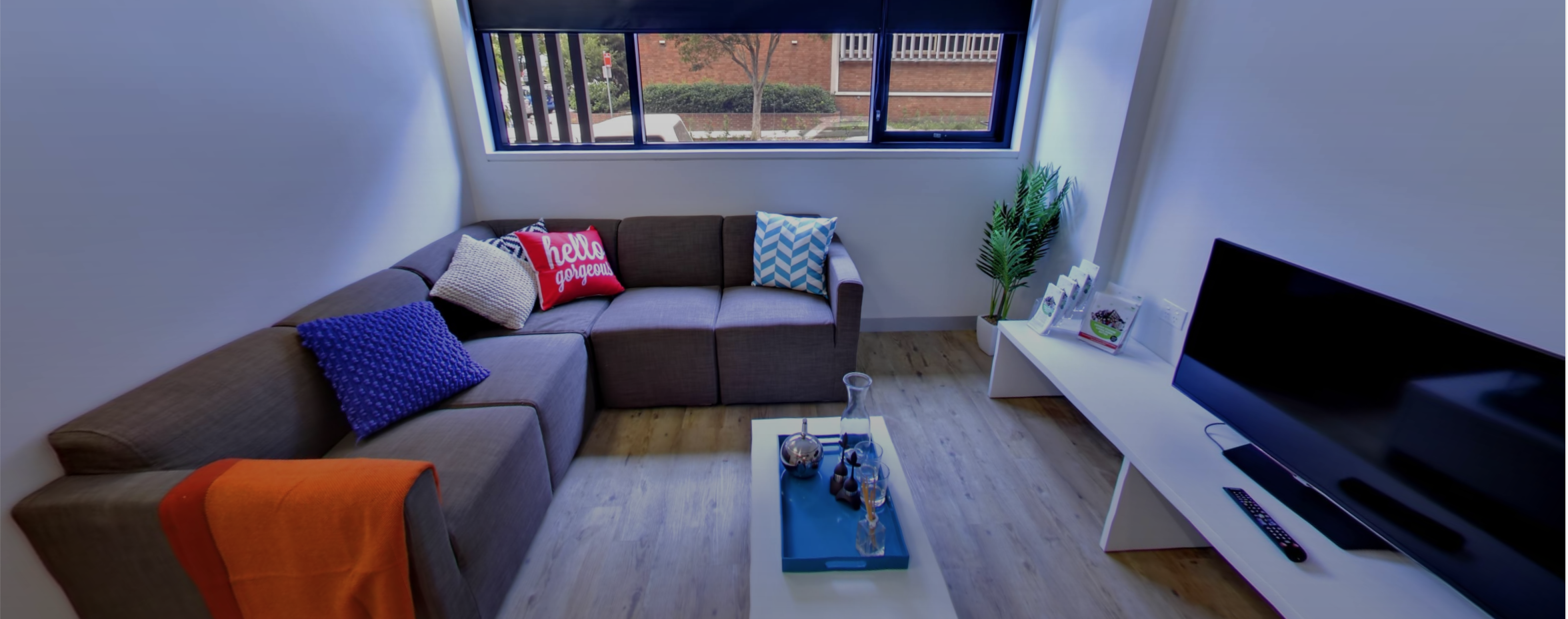 Sydney — Semester in Australia