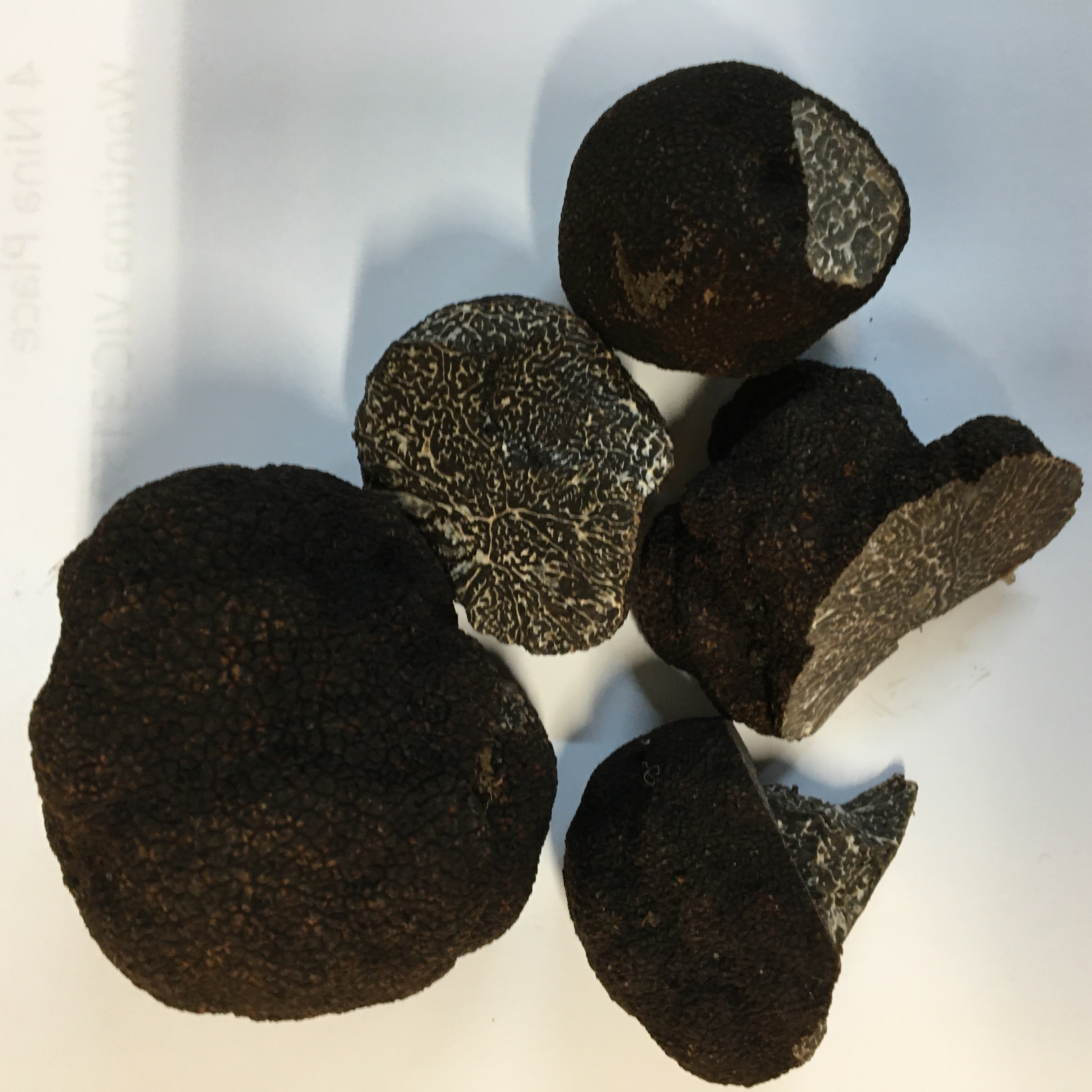 Fresh Victorian black winter truffles — Truffle Paddock