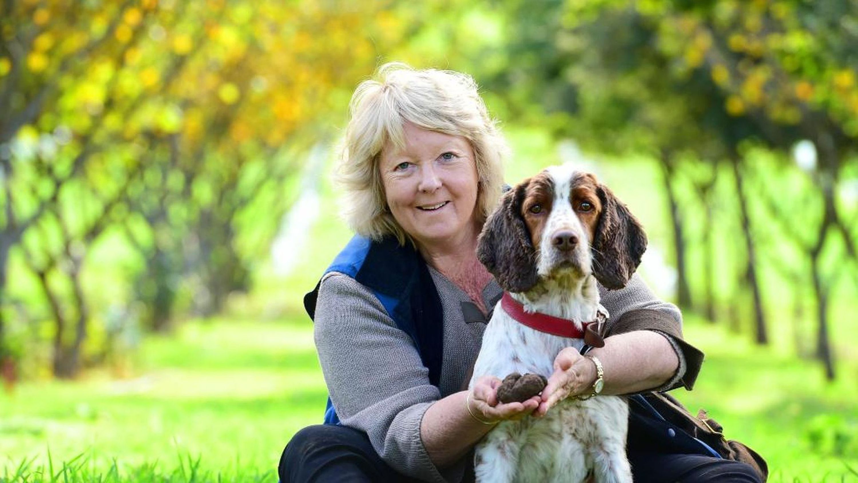 Red Hill Truffle Hunt and EightCourse Dinner — Truffle Melbourne