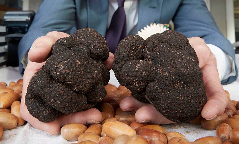 2018 Truffle Melbourne Highlights